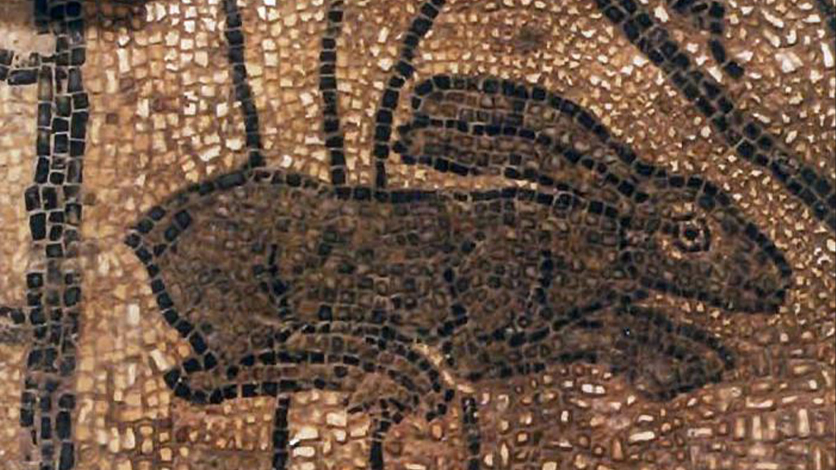 comuni-ogliopo-acquanegra