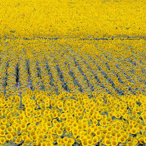 Gabbioneta Binanuova