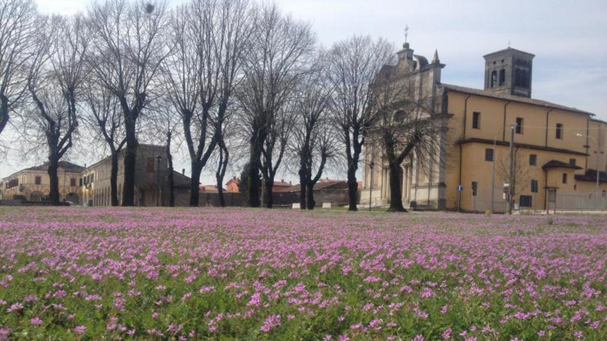arte-storia-chiesa-castello