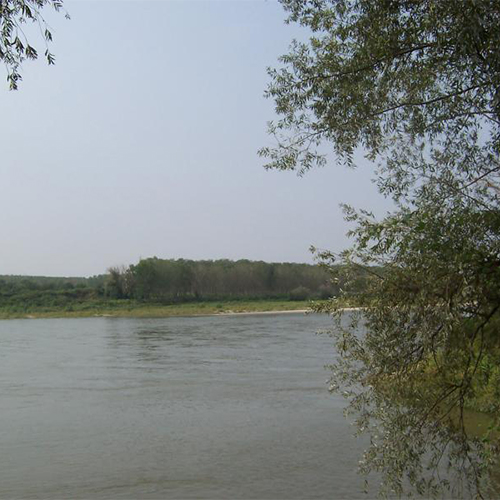 Parco Golena Po