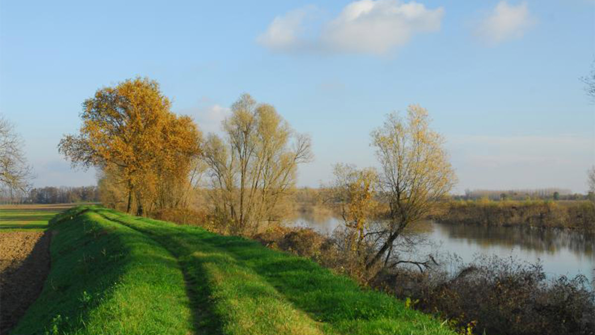 parchi-natura-torbiere-belforte
