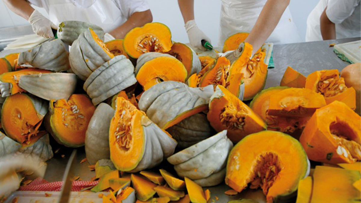 comuni-ogliopo-acquanegra