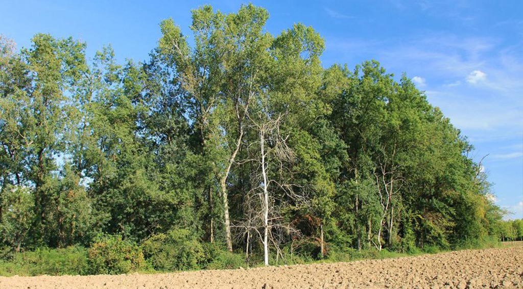 parchi-natura-torbiere-belforte